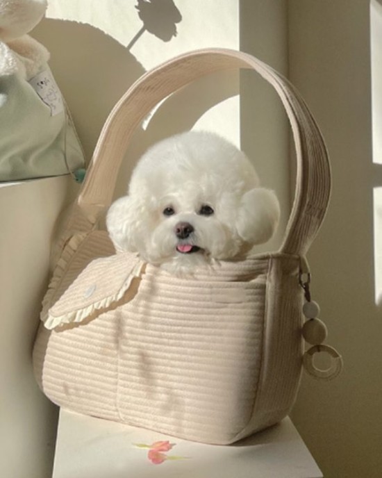 Cute 4 Colors Falbala Pet Bag Accessories