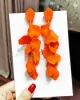 Stylish Tasseled Acrylic Earrings Accessories