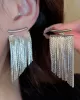 Solid Color Tasseled Earrings Accessories Eardrop