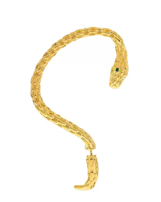 Snake Shape Earhook Earrings