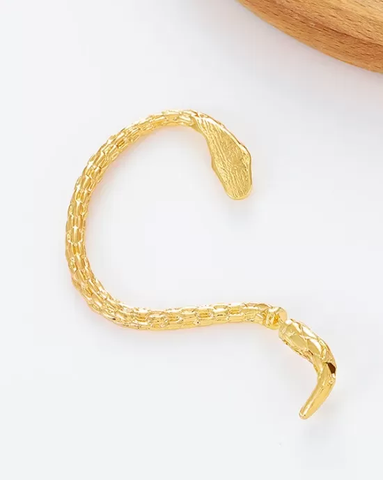 Snake Shape Earhook Earrings