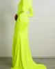 Long Sleeves Skinny Solid Color Tasseled Zipper V-Neck Maxi Evening Dresses